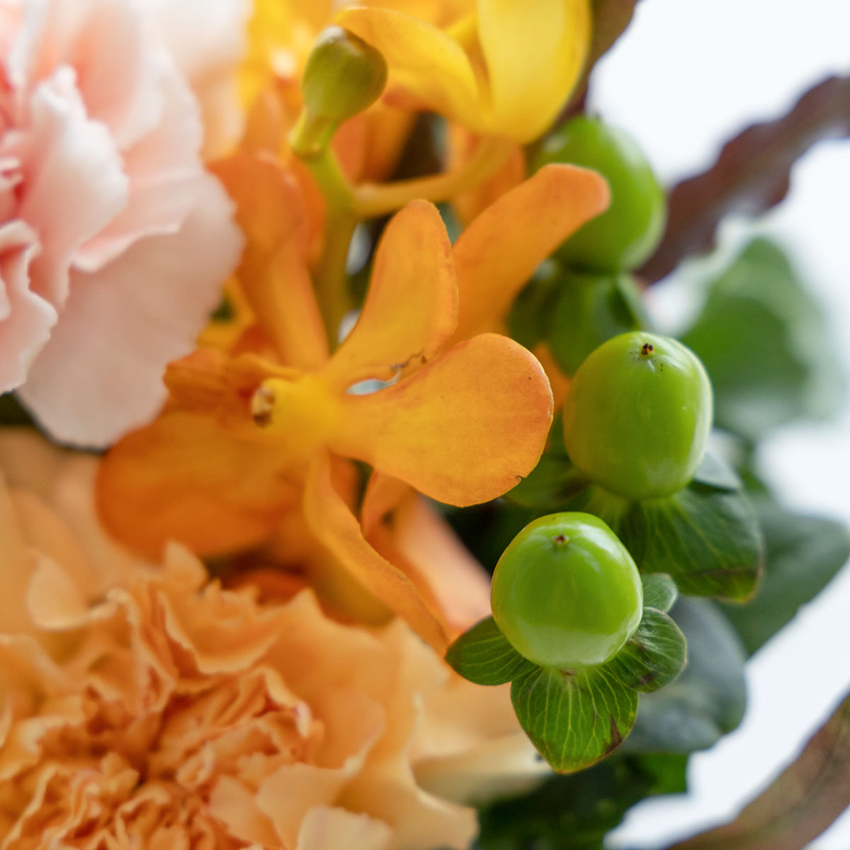 [Mother's Day Gift] Fresh Flower Arrangement "Kirari" Orange Hand Cream Set