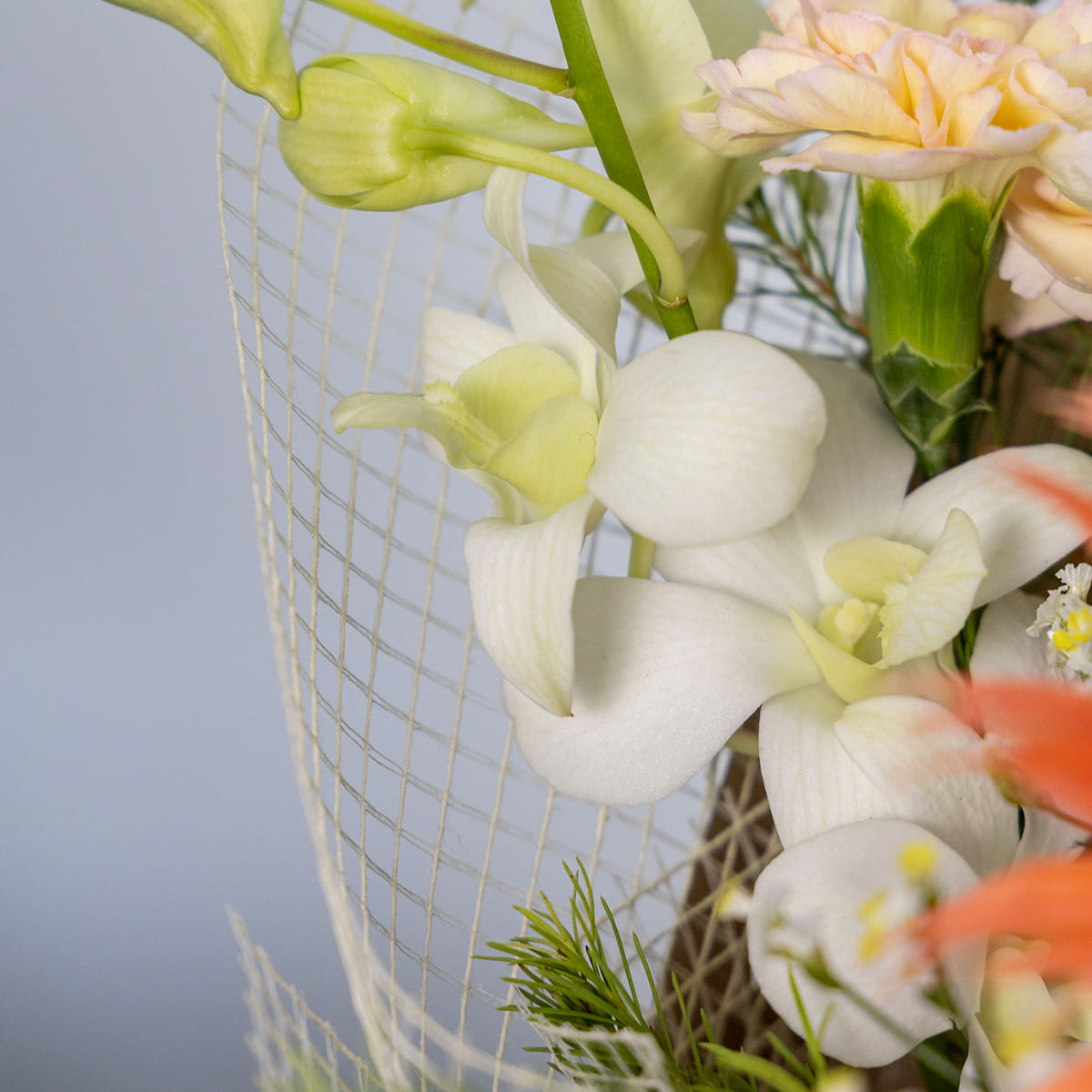 [Mother's Day Gift] Fresh Flower Arrangement "Nikori" Orange Hand Cream Set