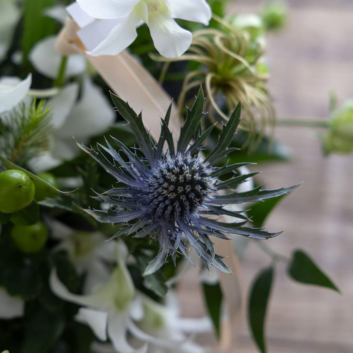 [Mother's Day Gift] Potted Plant | Aromaticus Hand Cream Set