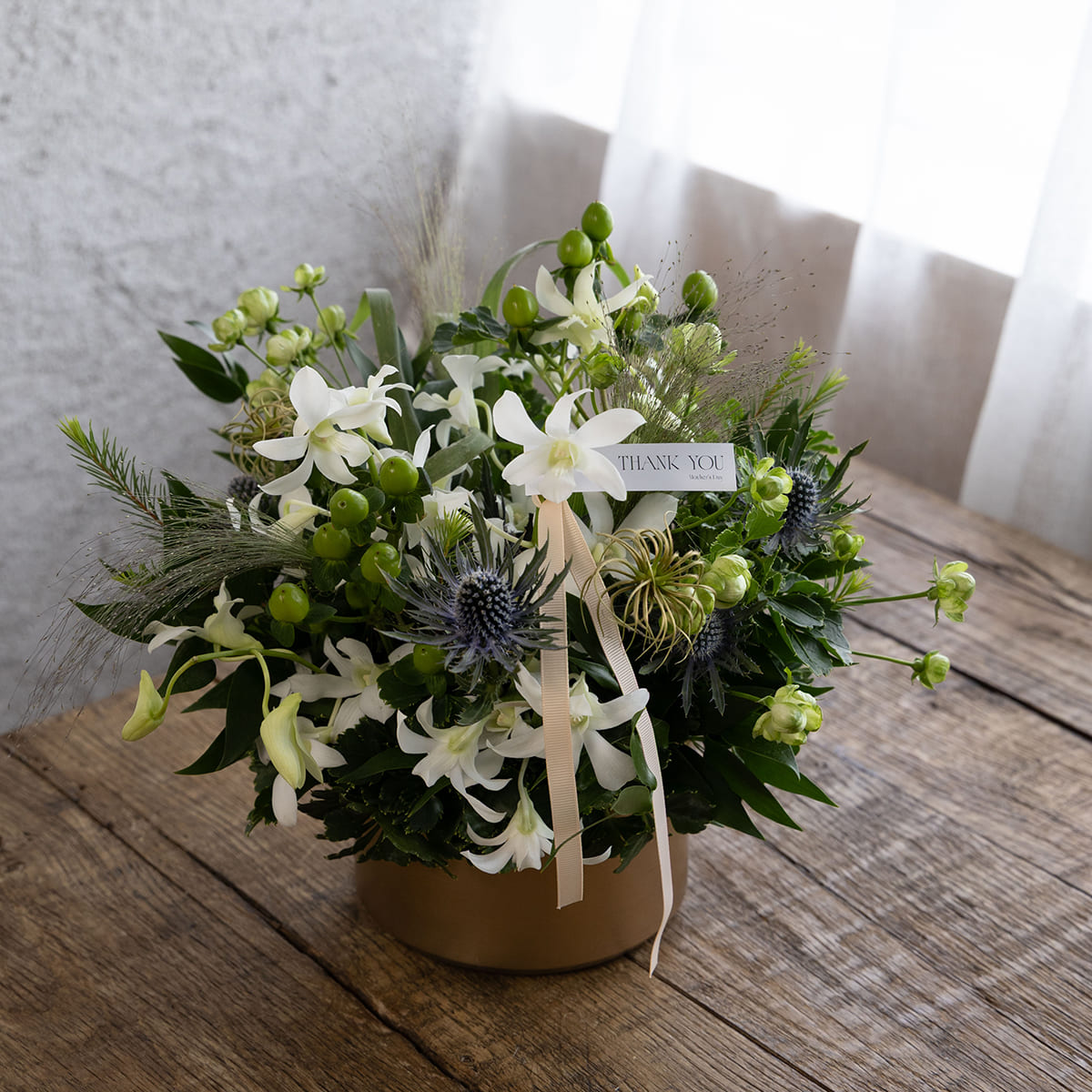 [Mother's Day Gift] Potted Plant | Aromaticus Hand Cream Set