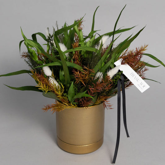 Mother's Day Gift: Potted Succulent Plant "KUMASAN" (Shipping available to Hokkaido and Tohoku)