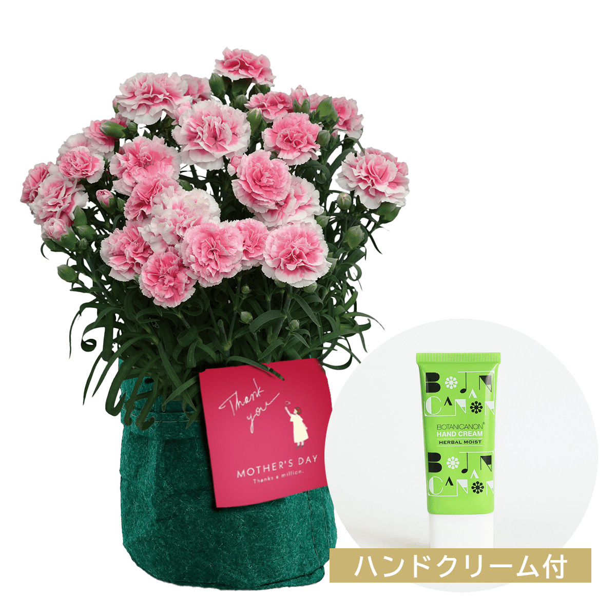【母の日のプレゼント】鉢物 カーネーション ピンク色（5号）ハンドクリームセット
