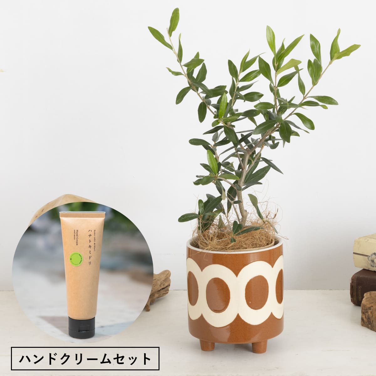 Mother's Day Gift: Potted Plant | Bay Leaf Hand Cream Set