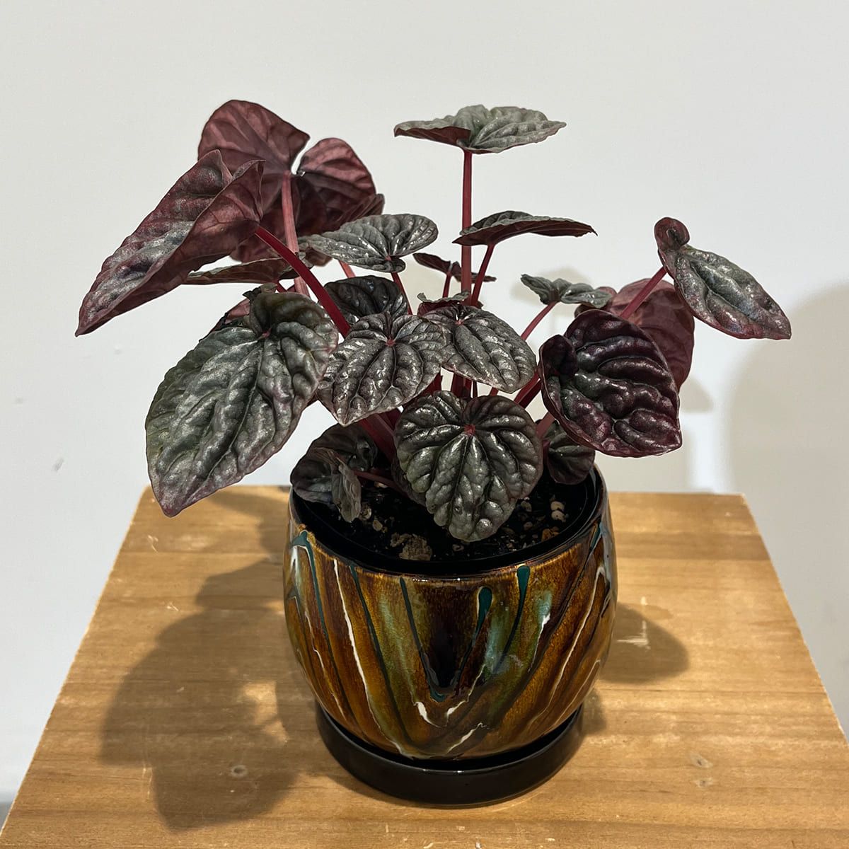 【植木鉢】飴色の釉薬が美しい マーブル模様の陶器製鉢（受け皿付き）