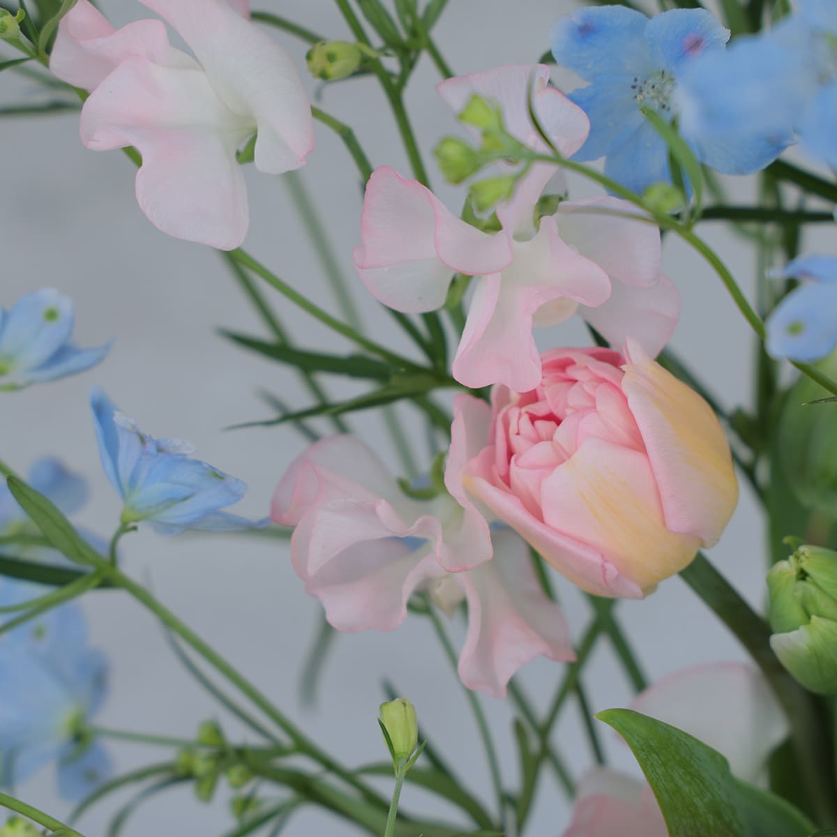 《期間限定》2026年【星座で贈るバースデーブーケ／うお座】アストロロジー・ライター Sayaさん監修