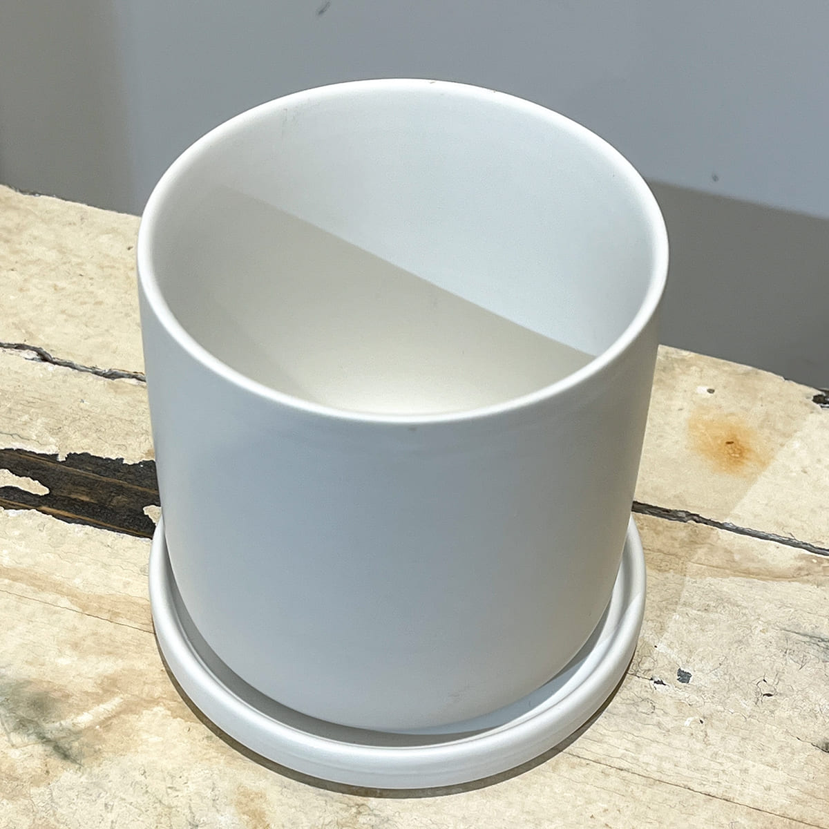 【화병】bouton｜L사이즈