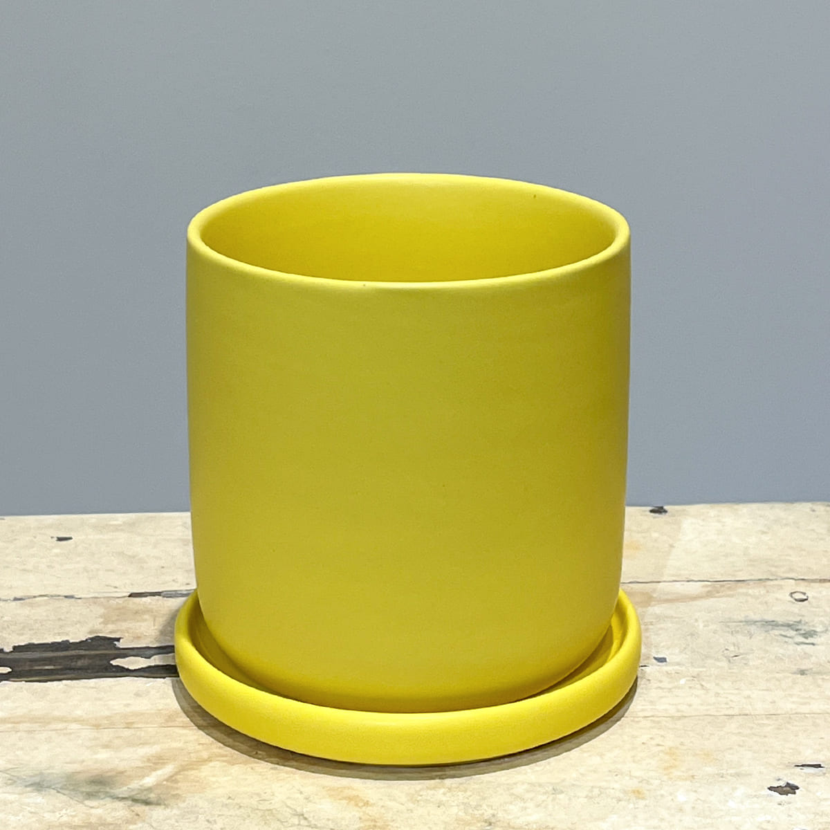 【화병】bouton｜L사이즈