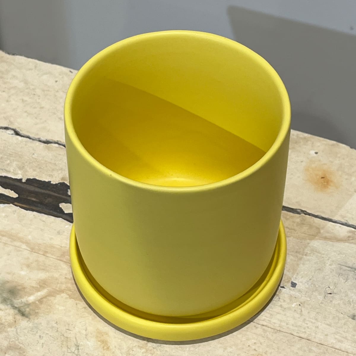 【화병】bouton｜L사이즈