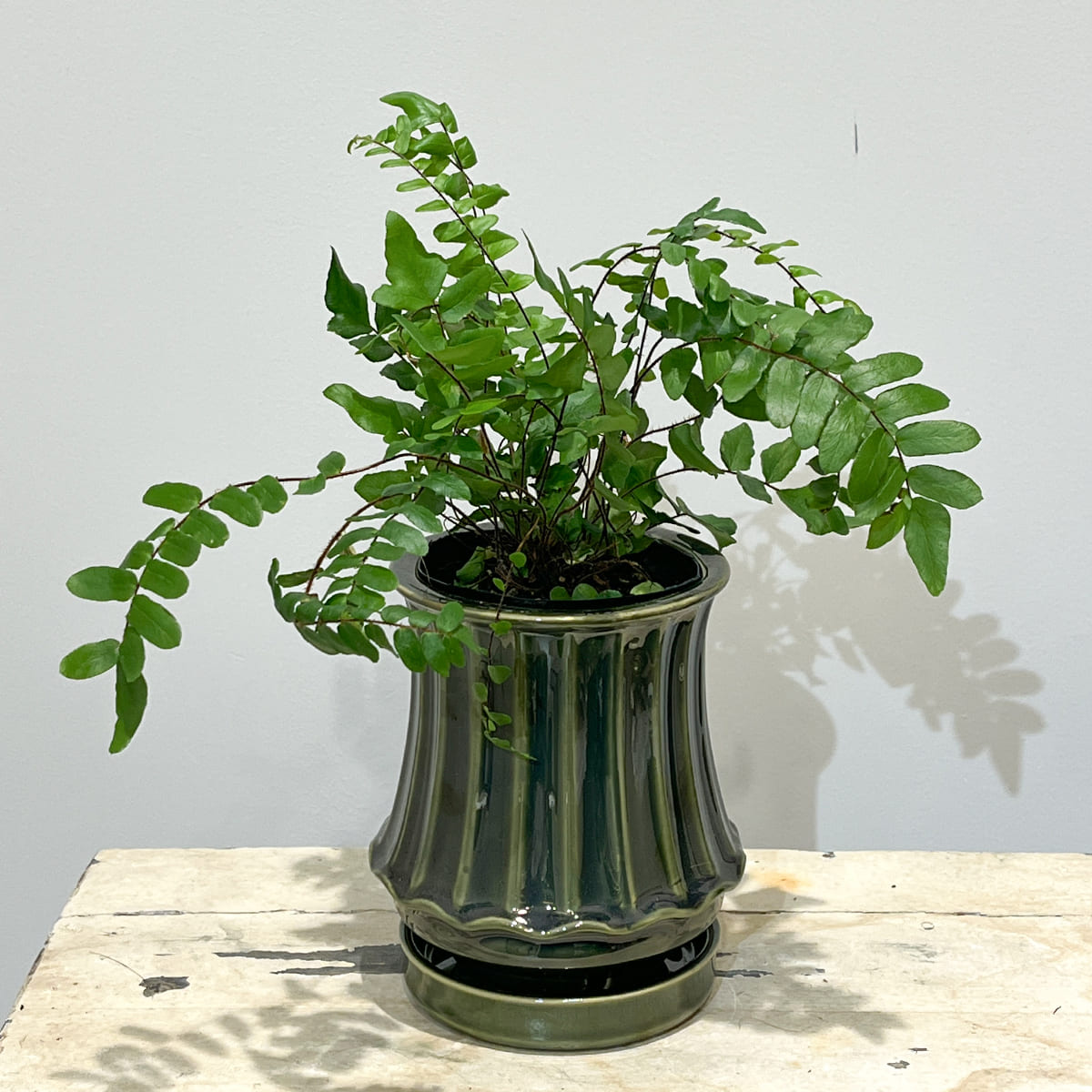 【植木鉢】艶やかな深緑の釉薬が美しい陶器鉢（受け皿付き）