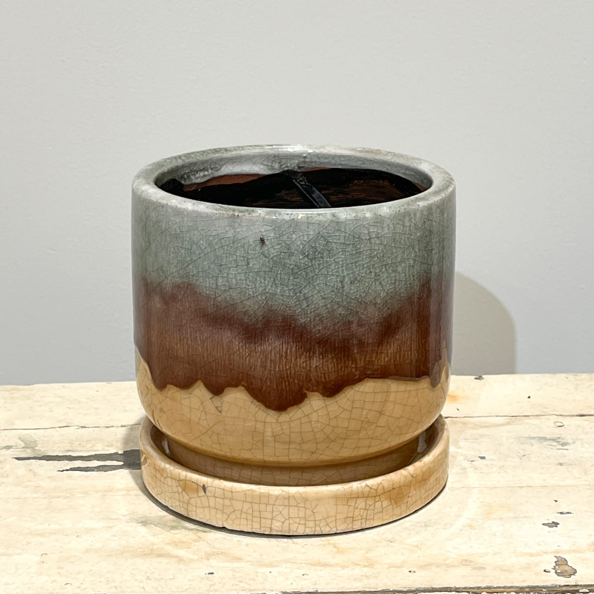 【화병】bouton｜L사이즈