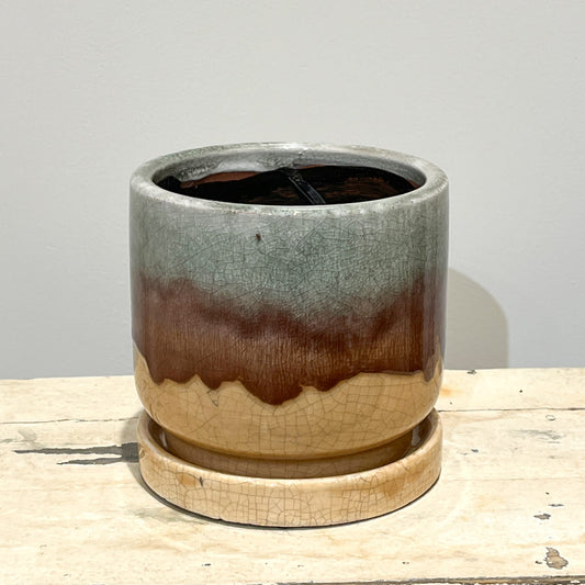 【화병】bouton｜L사이즈