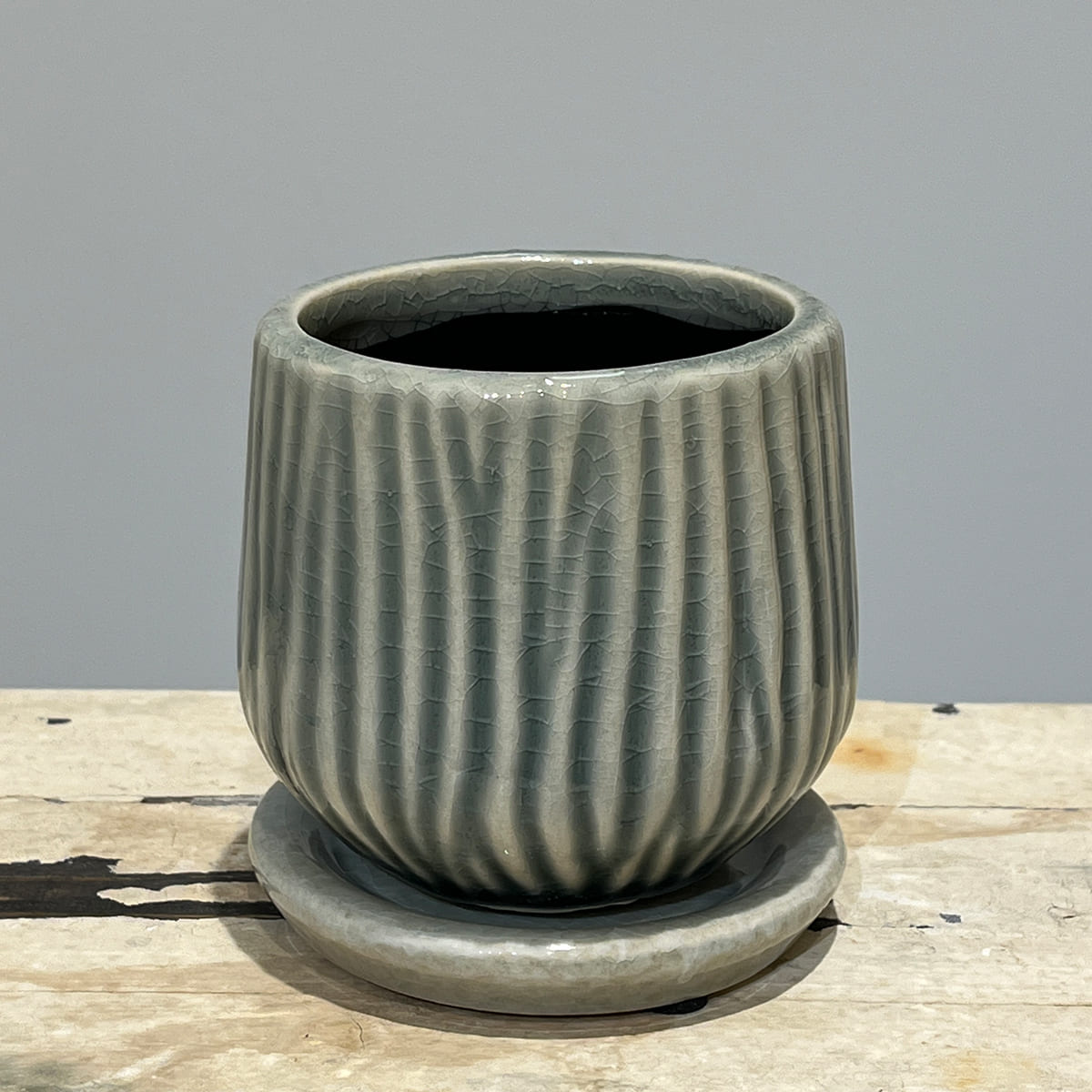 【화병】bouton｜L사이즈