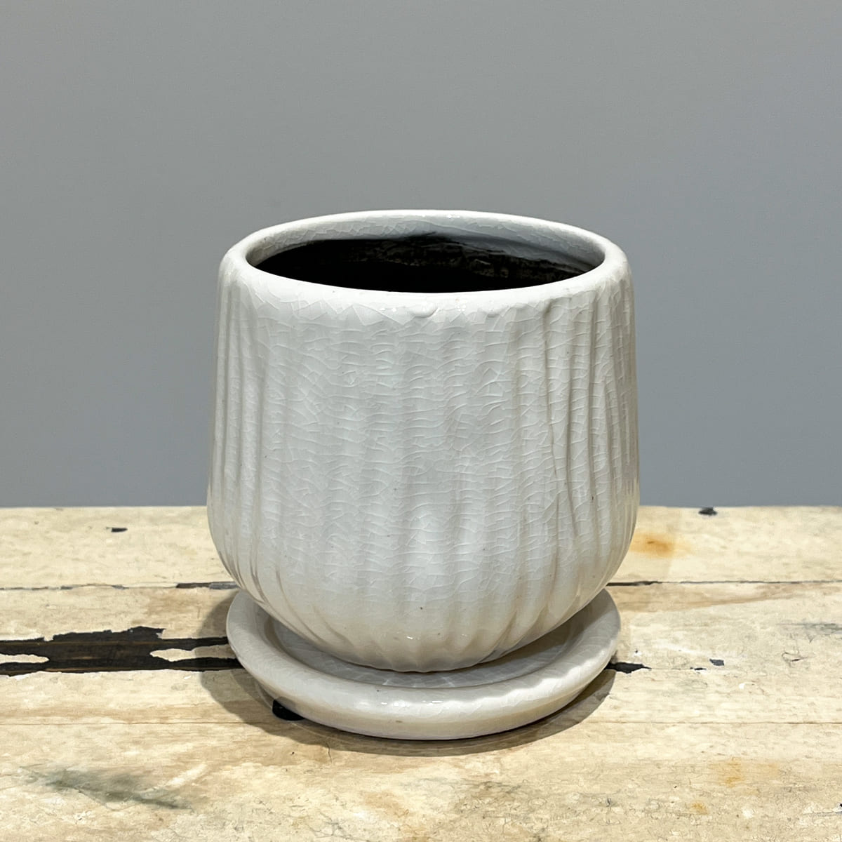 【화병】bouton｜L사이즈