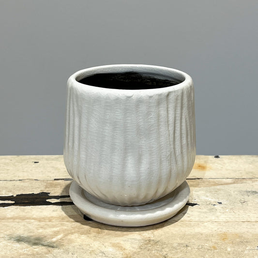 【화병】bouton｜L사이즈