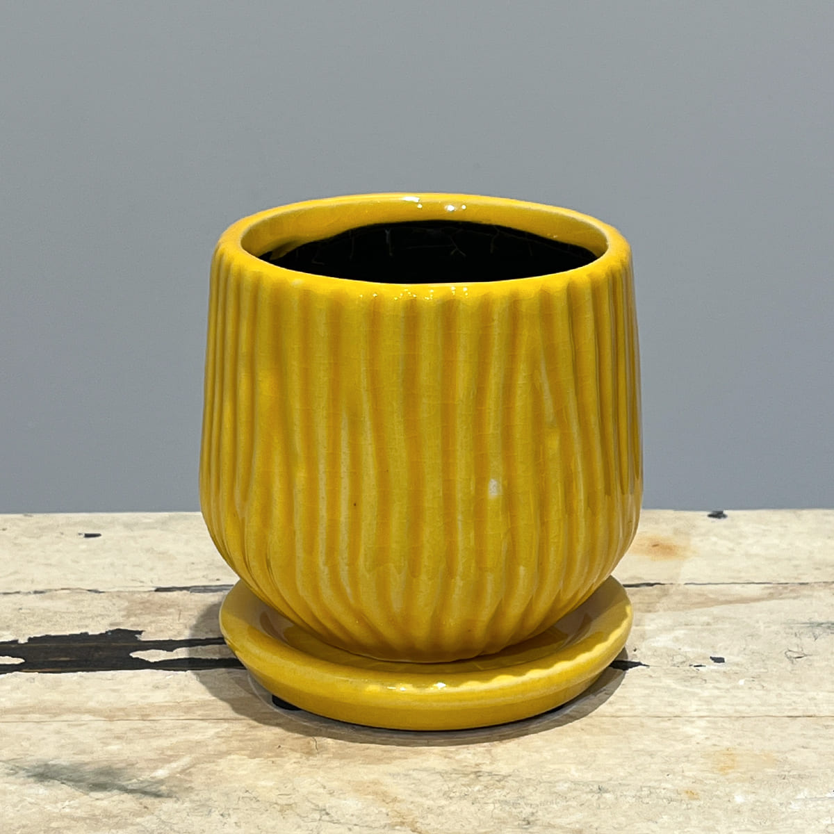 【화병】bouton｜L사이즈