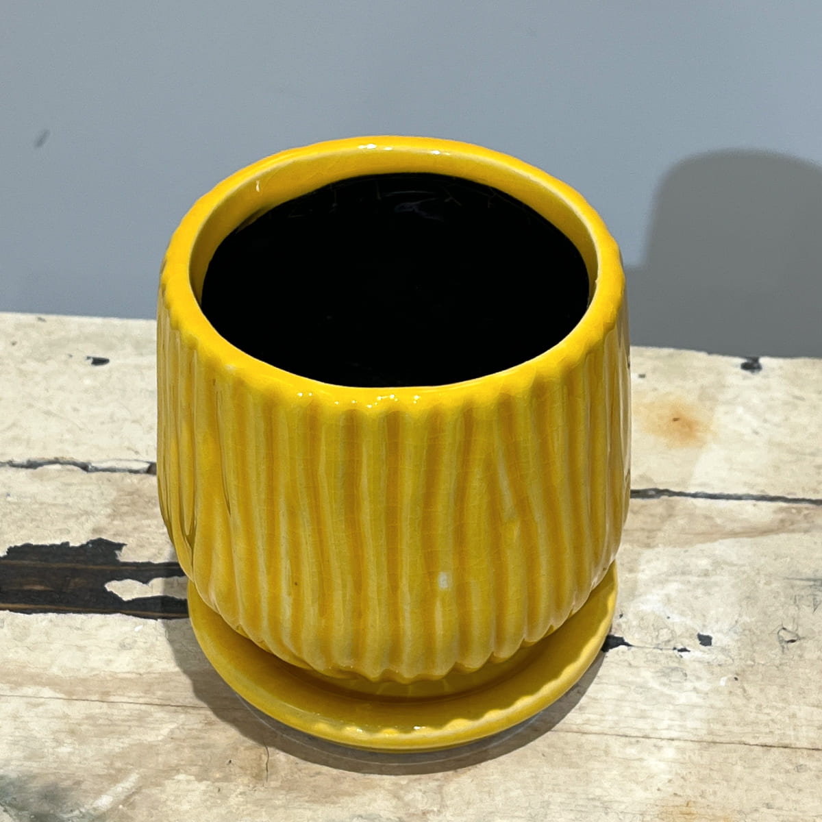 【화병】bouton｜L사이즈