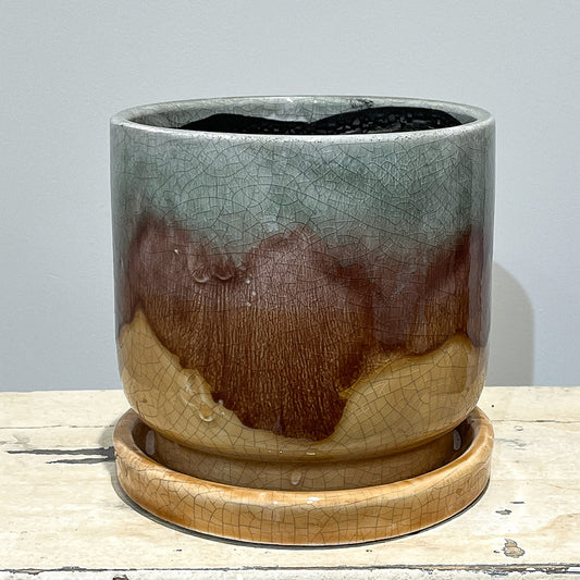 【화병】bouton｜L사이즈