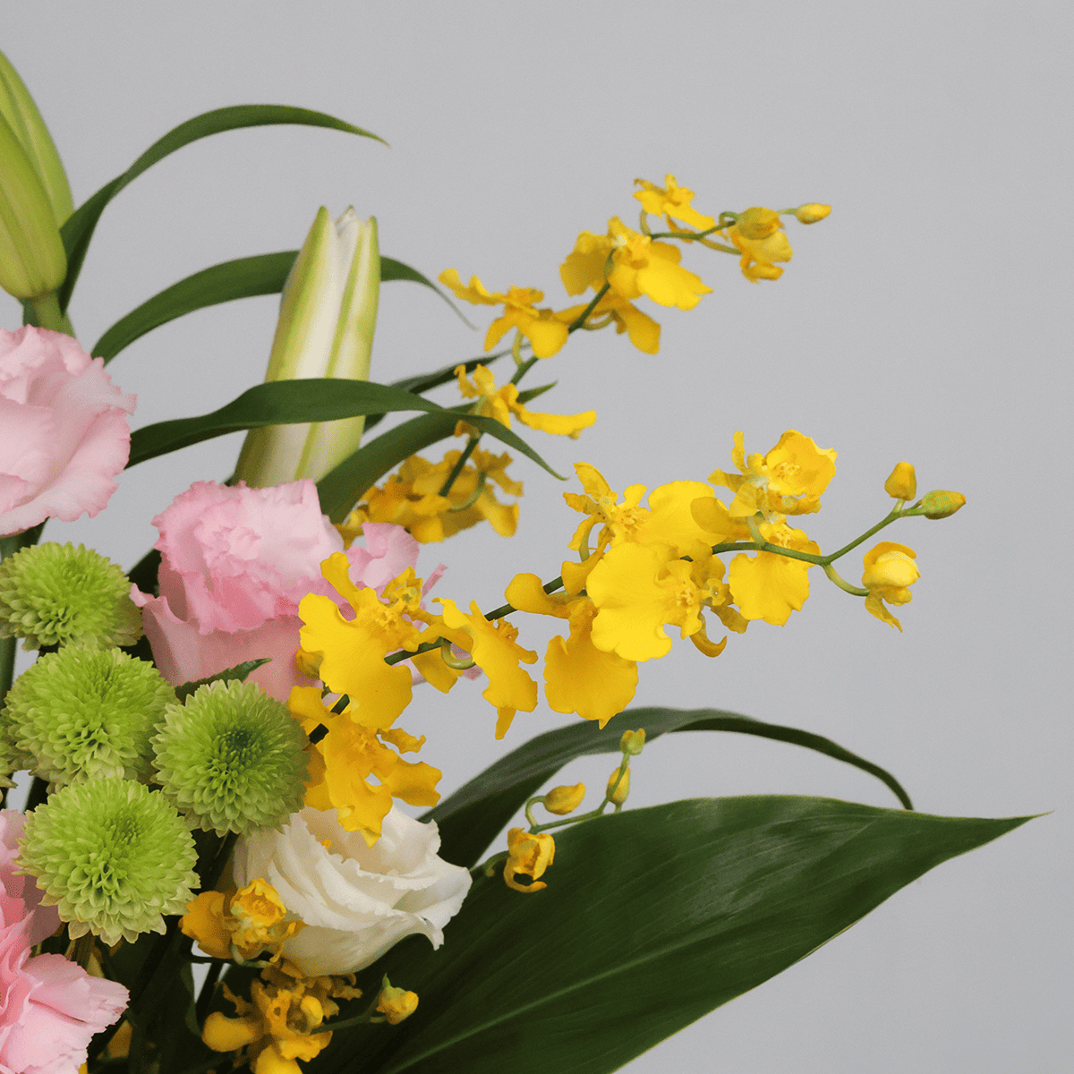 【お供え花・仏花】WEB限定｜アレンジメント「レェーヴ ピンク」（白のユリ）