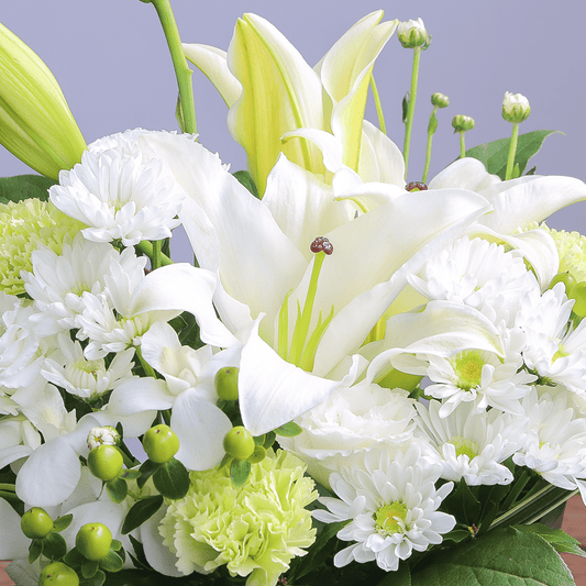 【お供え花・仏花】WEB限定|アレンジメント「プレシャス・メモリー ホワイト」