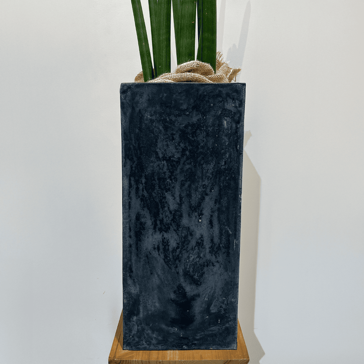 【サンスベリア スタッキー】大型｜観葉植物 (鉢カバー付き)