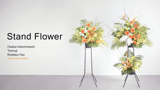 花と観葉植物を贈るオシャレなフラワーギフトショップ - 宅配 花と観葉植物を贈るオシャレなフラワーギフトショップ - 宅配