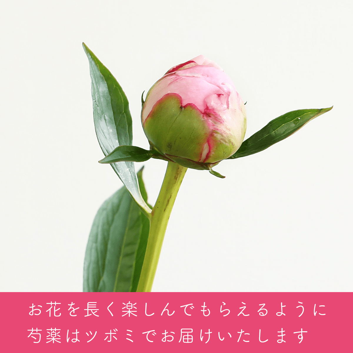 【母の日のプレゼント】生花ブーケ「ふわり」ハンドクリームセット