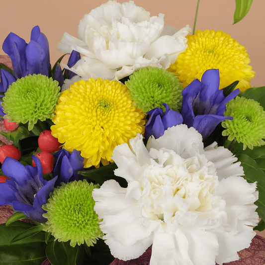 【오봉의 제공·불꽃】WEB 한정|어레인지먼트 “풍제”(핑크)