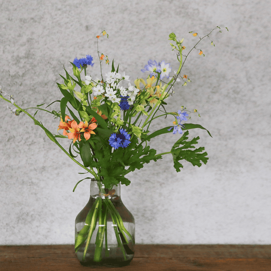 《期間限定》2025年【星座で贈るバースデーブーケ/おうし座/Sサイズ】アストロロジー・ライター Sayaさん監修