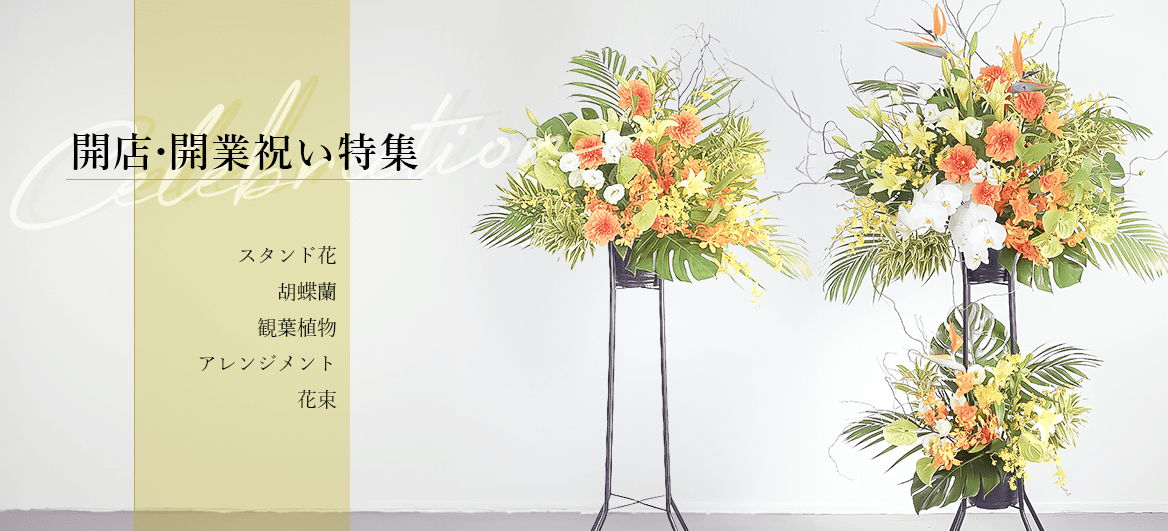 開店祝い・開業祝いのお花 – hanna