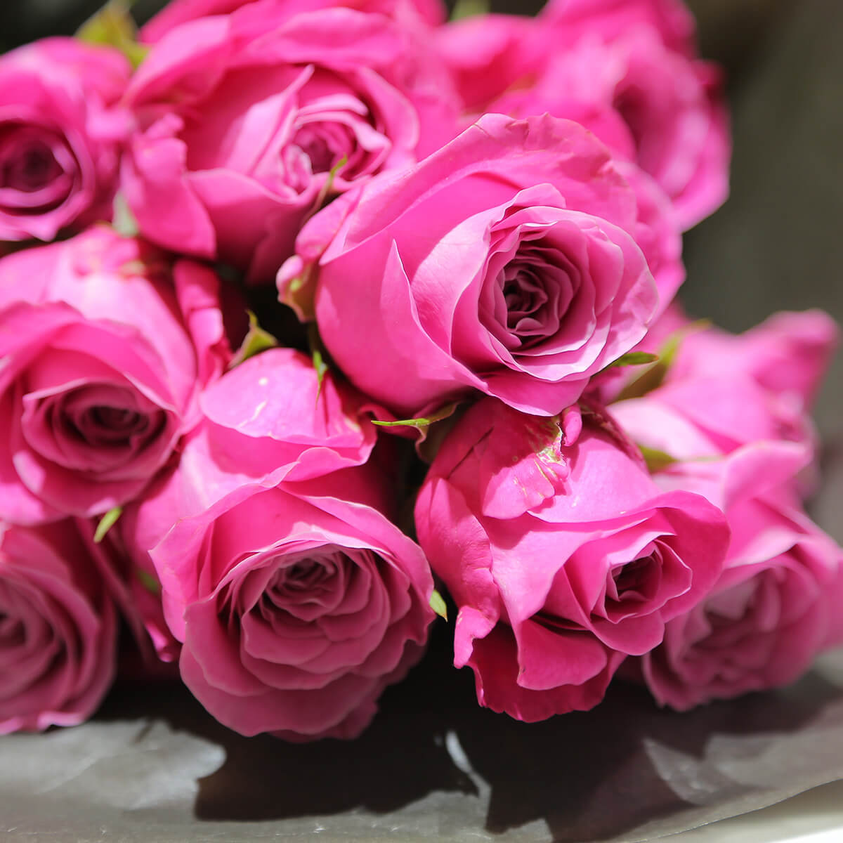 【いい夫婦の日】12本のバラの花束「ダーズンローズ」（ピンク／赤）｜プレゼント用｜花屋の通販｜誕生日／結婚記念日などフラワーギフト07