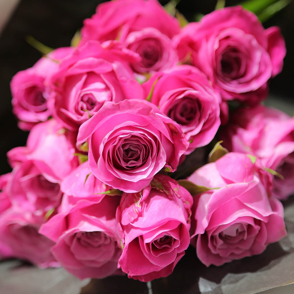 【花束】12本のバラの花束（ピンク／赤）