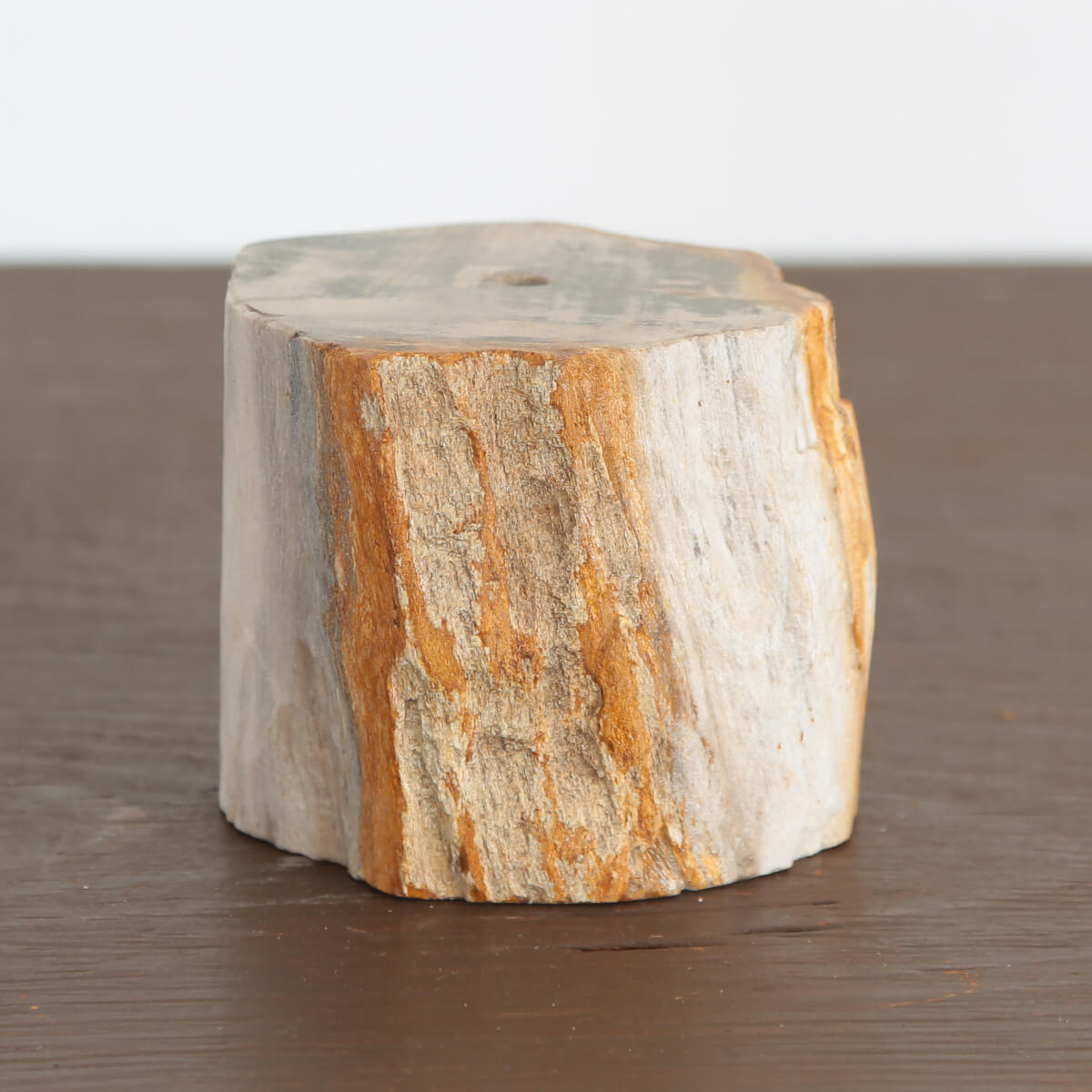 【珪化木】木の化石で出来た一輪挿し用フラワーベース《丸太》