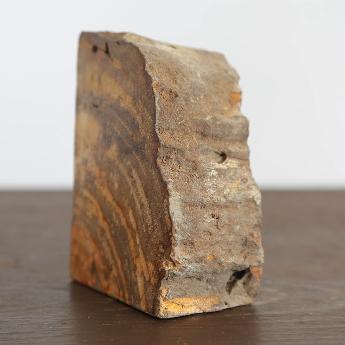 【珪化木】木の化石で出来た一輪挿し用フラワーベース《1/4円形・木目》