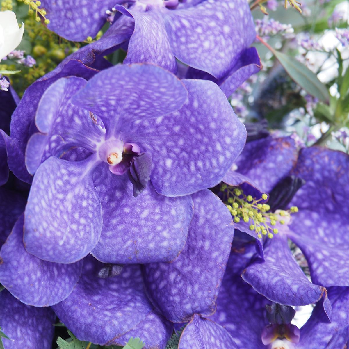 【フラワーアレンジ】XLサイズ｜青・紫｜ブーケ｜誕生日／結婚記念日などフラワーギフト｜花屋の通販02